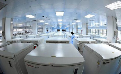 我國(guó)將制定臍帶血干細(xì)胞移植規(guī)范方案，推動(dòng)技術(shù)開(kāi)發(fā)與應(yīng)用