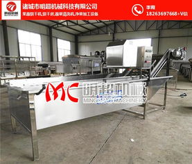 芥菜清洗機(jī)選購(gòu)指南 為何明超機(jī)械備受青睞？