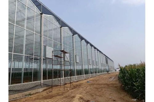 開陽(yáng)縣薄膜溫室大棚建設(shè)及大棚薄膜應(yīng)用