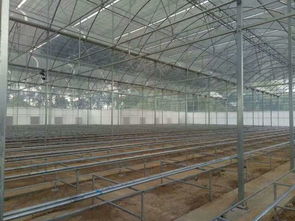 雙層充氣薄膜溫室大棚 技術(shù)特點(diǎn)與工作原理詳解