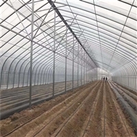 連棟薄膜溫室大棚 結構解析、價格因素與大棚薄膜選型指南