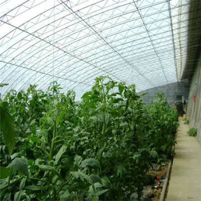 鋼結構薄膜大棚工程造價解析及優質供應商推薦——以七洲種植花卉為例